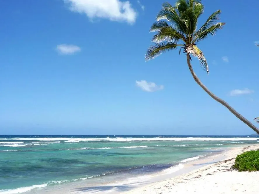 Caribbean Cozy Studios - Pool Beach Club & Spa Punta Cana